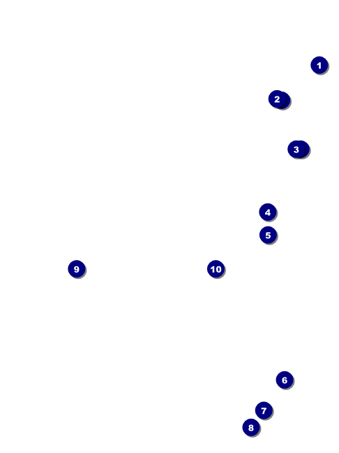 Disco Dance Festival Economy Event Badge Front Field Markers