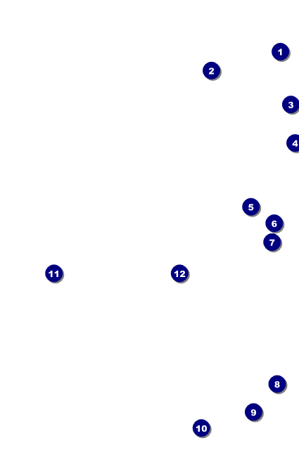 Football Green VIP Event Badge Small Front Field Markers