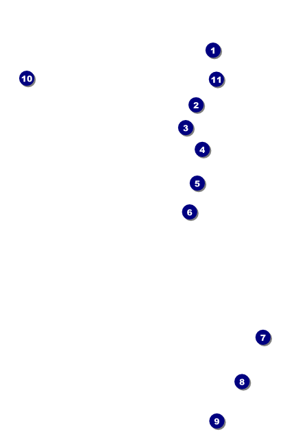 Hippie VIP Event Badge Medium Front Field Markers