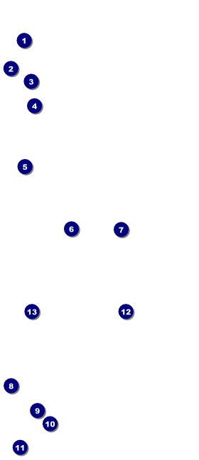 Austin Star VIP Event Badge Large Front Field Markers