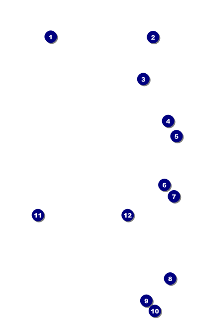 Bingo Bonanza Extravaganza VIP Event Badge Medium Front Field Markers