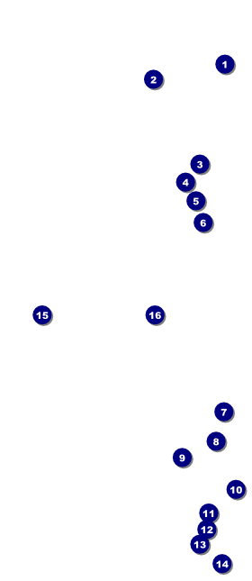 Birthday Geometric VIP Event Badge Large Front Field Markers