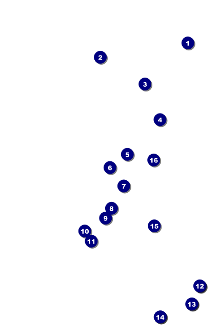 Blues VIP Event Badge Small Front Field Markers
