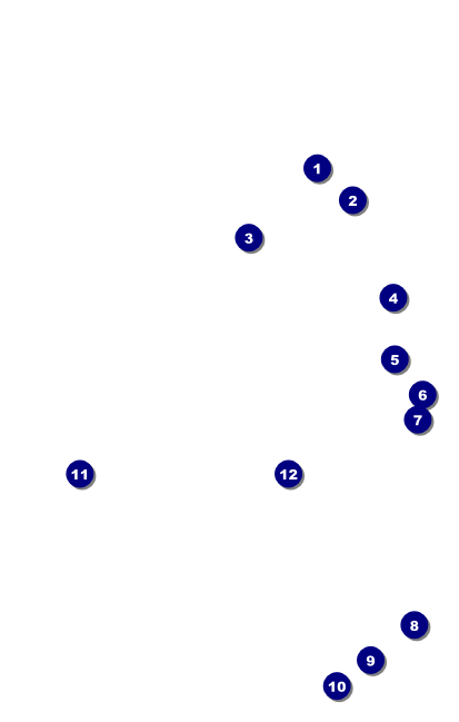 Bow Tie VIP Event Badge Medium Front Field Markers