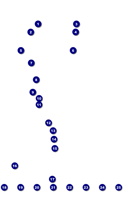 Roaring 20s With Image Upload Poster Front Field Markers