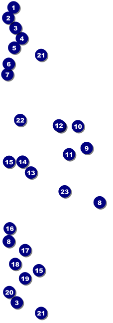 All Purpose Big Logo Purple  Event Ticket Front Field Markers