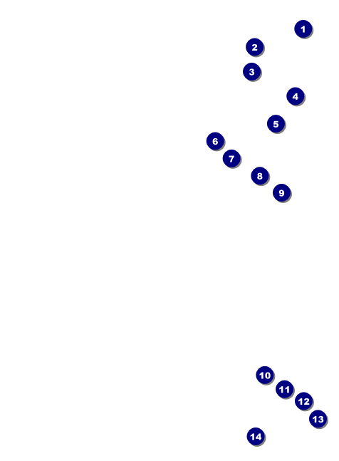 Denver Black and White Invitation Front Field Markers