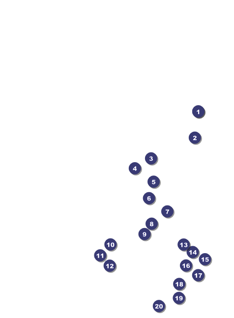 Indy Racing Invitation Front Field Markers