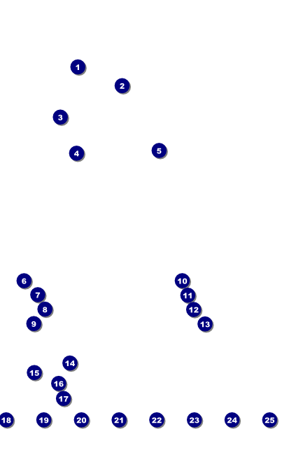 Paris Pink and Black Logo Poster Front Field Markers