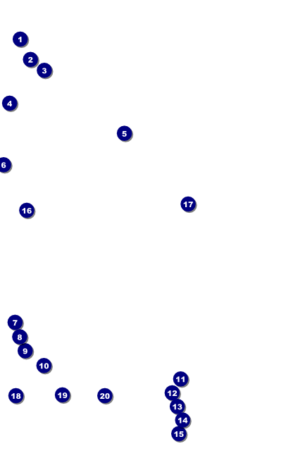 Roller Derby Pink Leopard Poster Front Field Markers