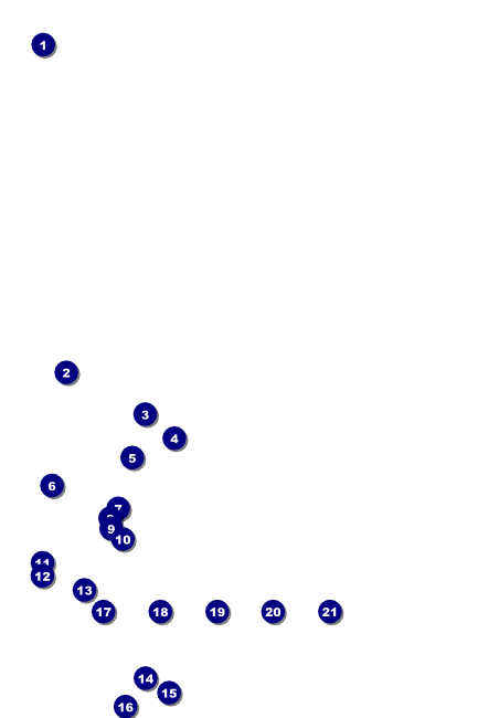 Bon Odori Poster Front Field Markers