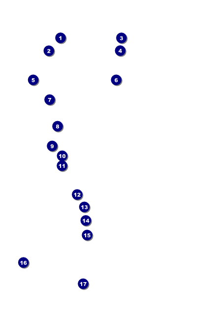 Roaring 20s Poster Front Field Markers