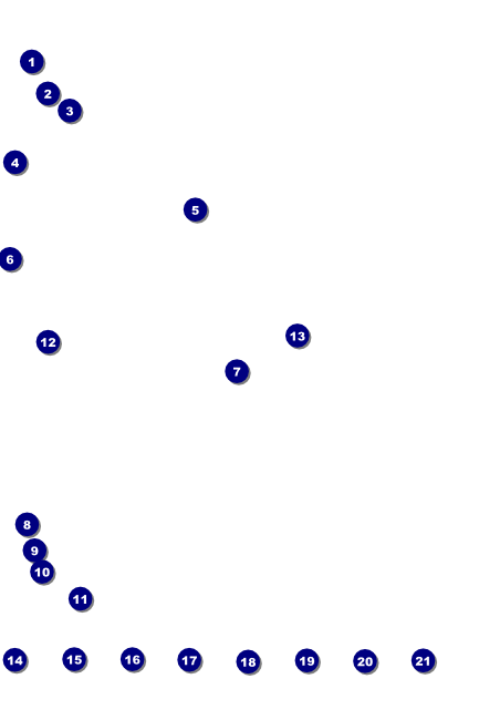 Roller Derby Pink Leopard Logo Poster Front Field Markers