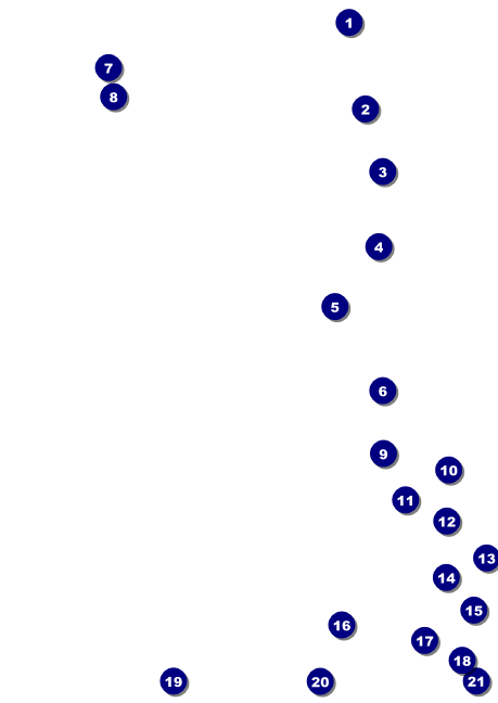 Modern Rodeo Postcard Front Field Markers