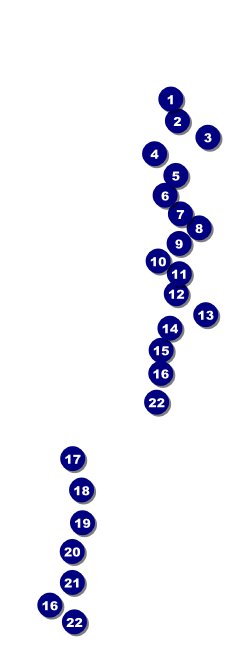 Minnesota Raffle Ticket Front Field Markers