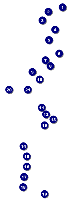 String Symphony Raffle Ticket Front Field Markers