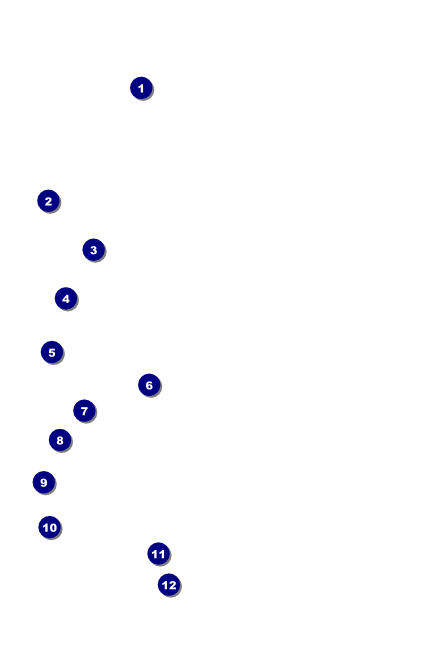 Year Gold Semi Formal Drink Ticket Front Field Markers