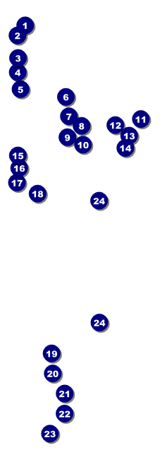 San Jose Raffle Ticket Front Field Markers