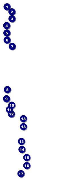 Santa Barbara Raffle Ticket Front Field Markers
