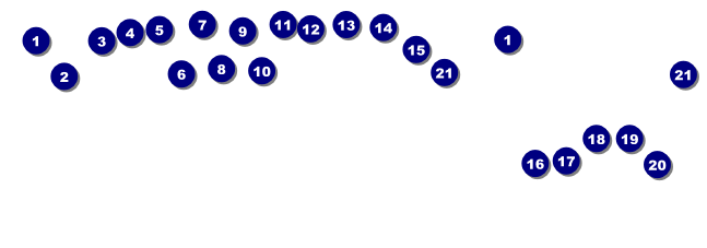 All Purpose Raffle Ticket 005 Front Field Markers