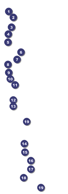 Christmas Tree Raffle Ticket 001 Front Field Markers