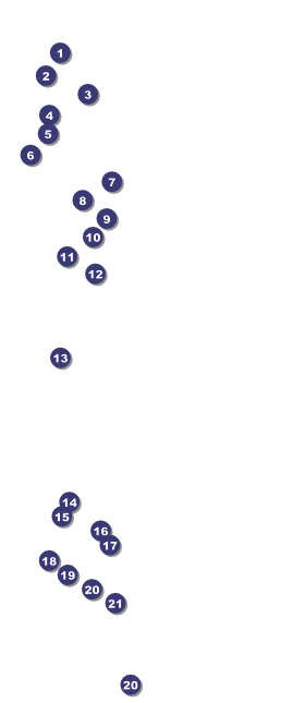 Arkansas VIP Pass Front Field Markers
