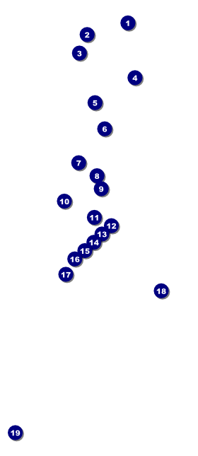 Valentine Love Birds VIP Pass Front Field Markers