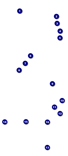 Contemporary Mixed Martial Arts VIP Pass Front Field Markers
