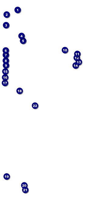 San Jose VIP Pass Front Field Markers