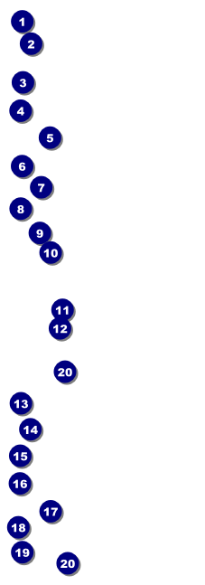 Animal Print Event Ticket Front Field Markers