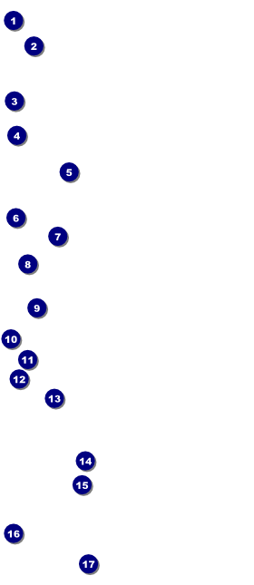 Animal Print VIP Pass Front Field Markers