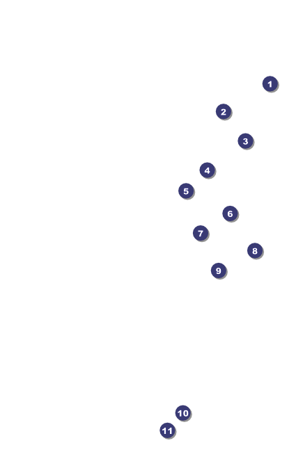 Kansas Drink Ticket Front Field Markers