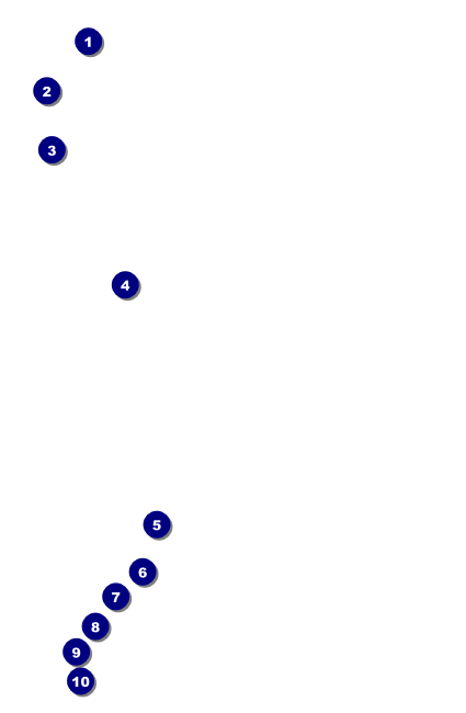 Carnival Monkey Drink Ticket Front Field Markers