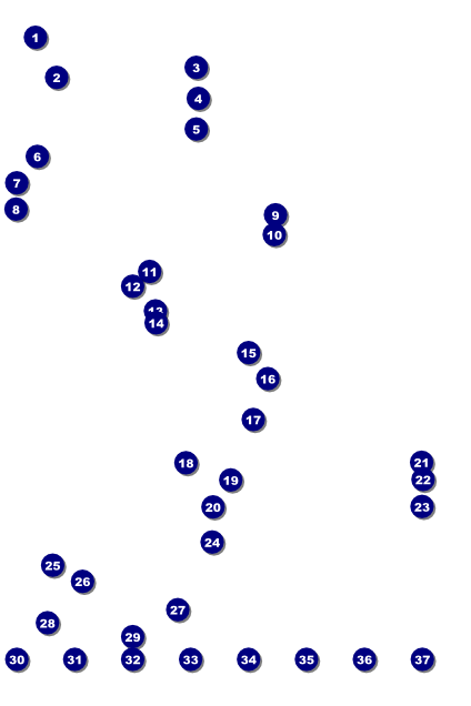 Pool Logo Poster Front Field Markers