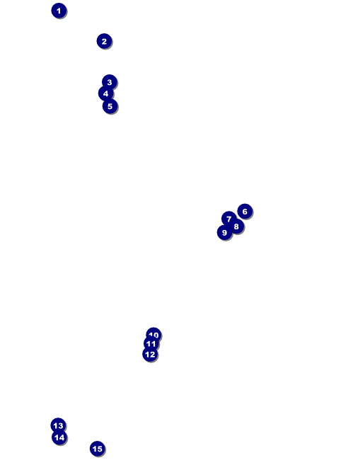 High Tea Flyer Front Field Markers