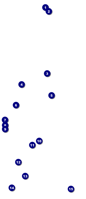 Social Networking VIP Pass Front Field Markers