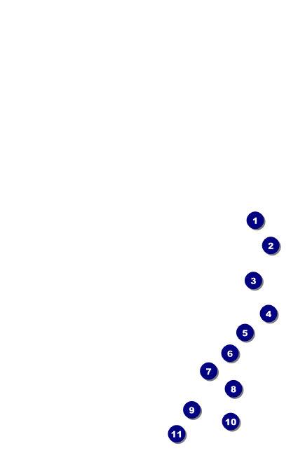 Valentine Heart Drink Ticket Front Field Markers