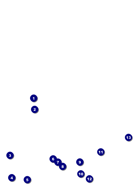 Dinosaur Invitation Front Field Markers