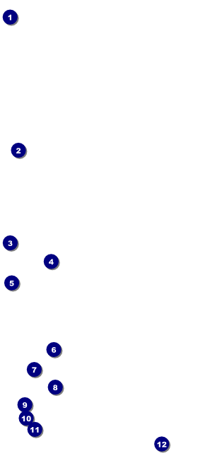 Spiritual Music VIP Pass Front Field Markers
