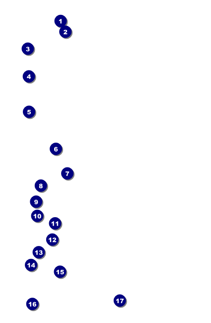 Music Festival Drink Ticket Front Field Markers