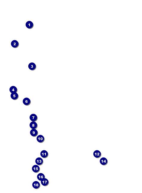 Renaissance Invitation Front Field Markers