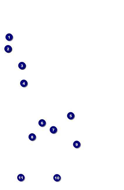 Whimsical Paris Drink Ticket Front Field Markers