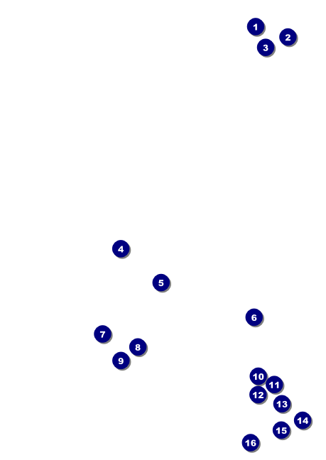 Chinese New Year Flower Snake Club Flyer Front Field Markers