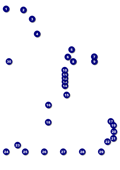 Class Reunion Mascot Orange Club Flyer Front Field Markers